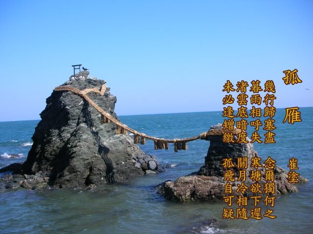 173孤雁.崔塗.jpg