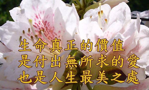 05.03