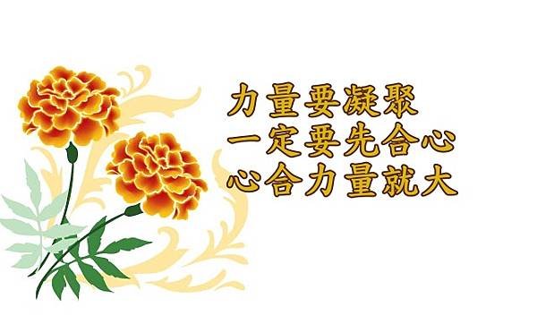 11.03力量要凝聚
