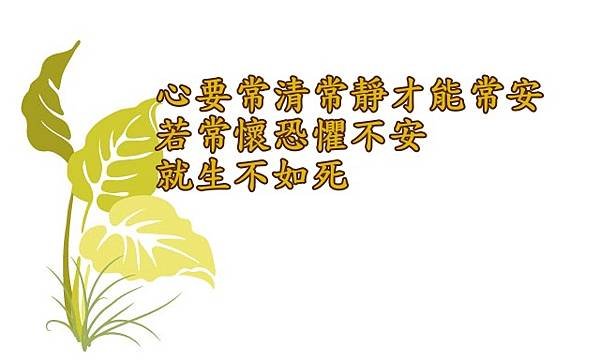 12.04心要常清常靜