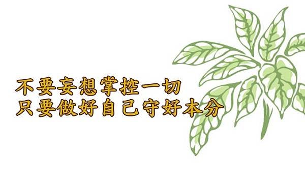 12.24不要妄想掌控一切