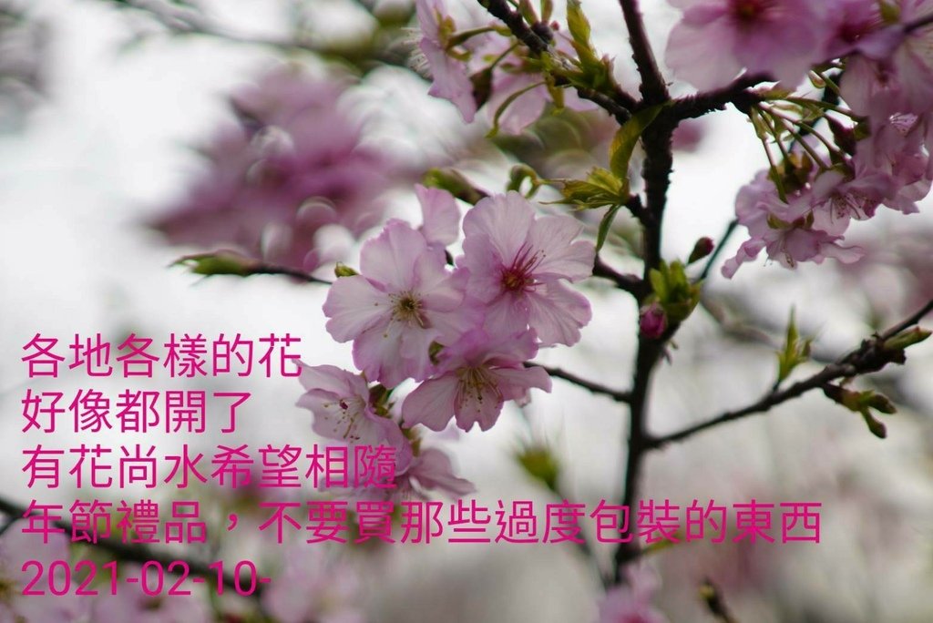 timeline_20210210_143018.jpg