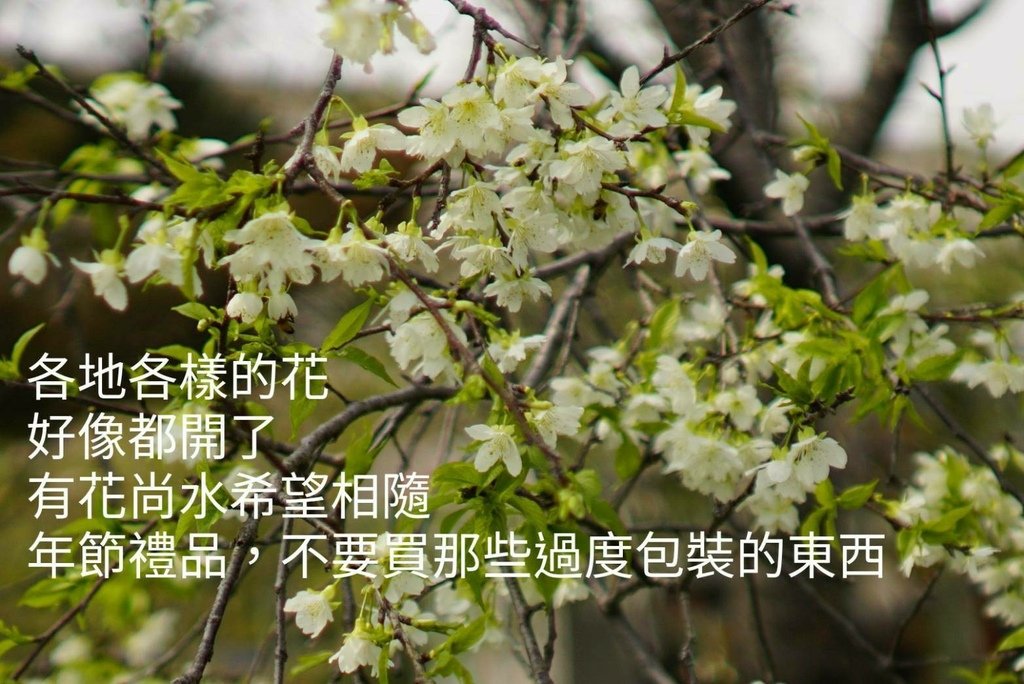 timeline_20210210_143006.jpg