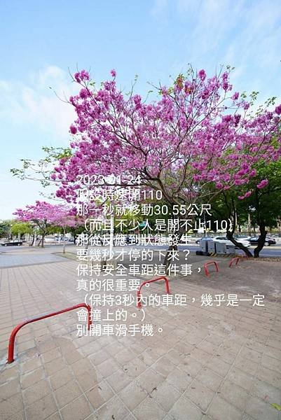 m800x1200 (7).jpg