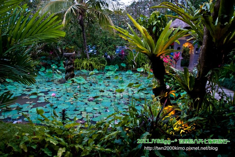 DSC_0730.jpg