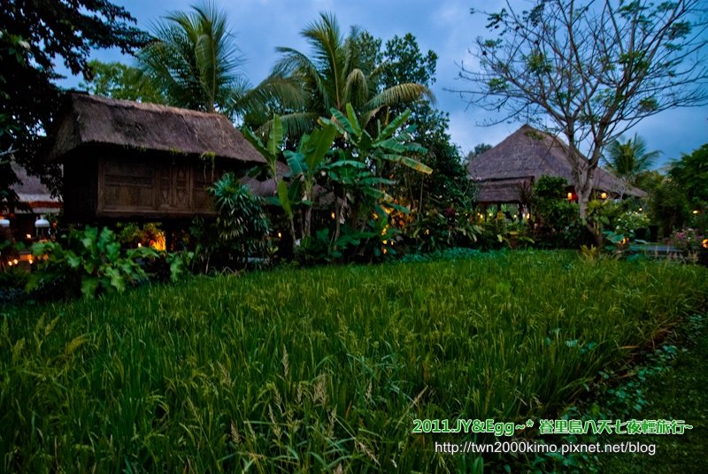 DSC_0738.jpg