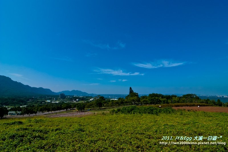 DSC_0138.jpg