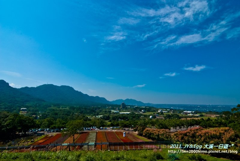 DSC_0195.jpg
