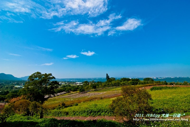DSC_0209.jpg