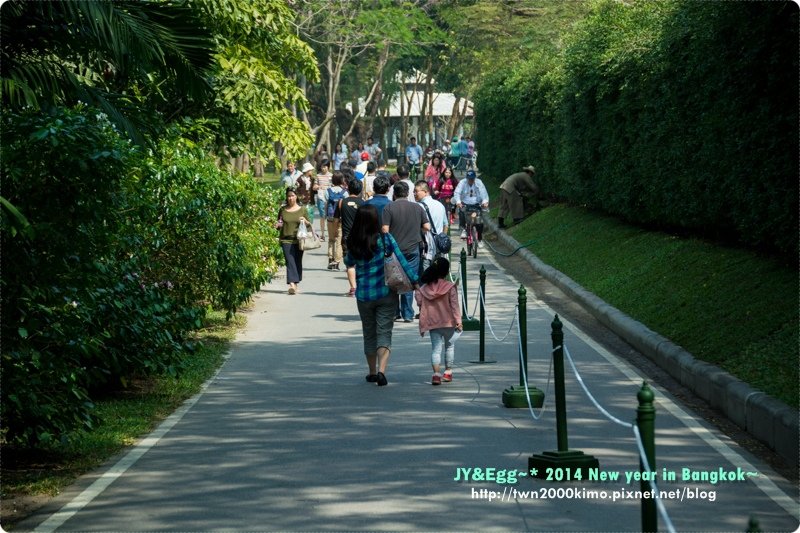 DSC_4573.jpg