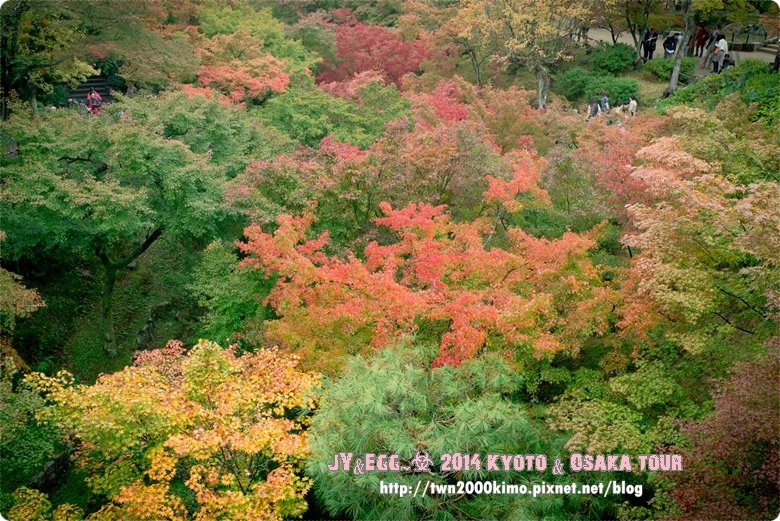 DSC_2097.jpg