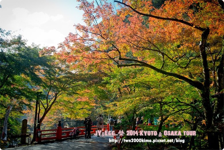 DSC_2287.jpg