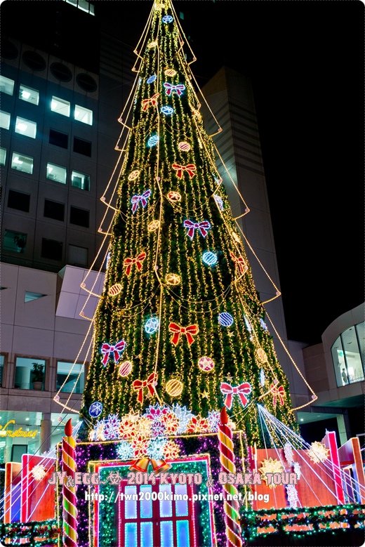 DSC_3776.jpg