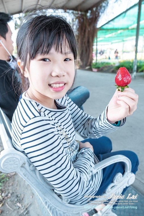 DSCF8955.jpg