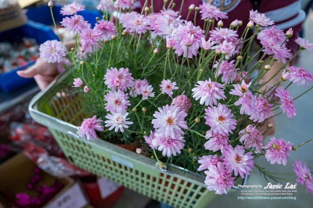DSCF9166.jpg