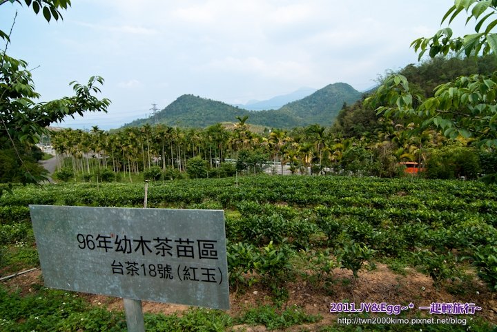 DSC_0840.jpg