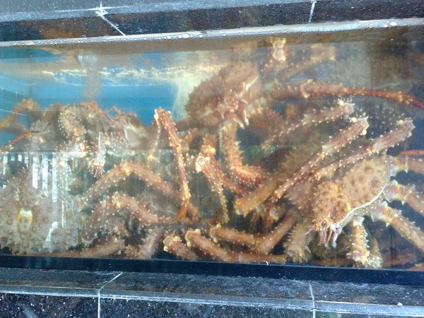 King crab, Vancouver