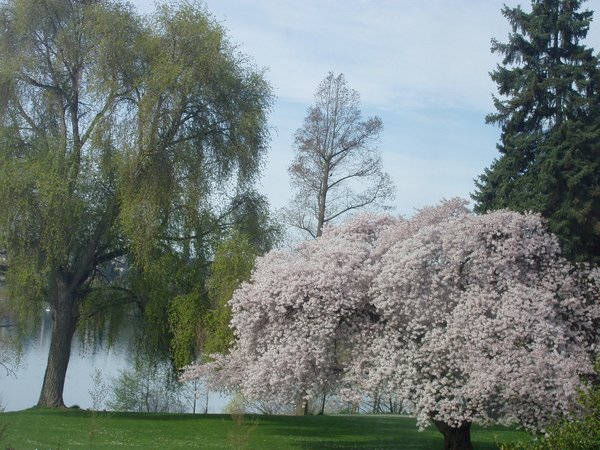 green lake, Seattle