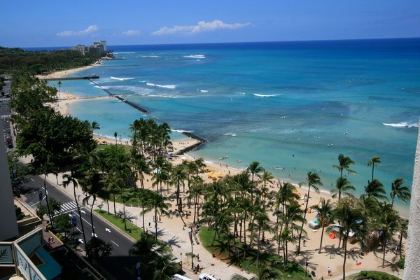 Hyatt, ocean view