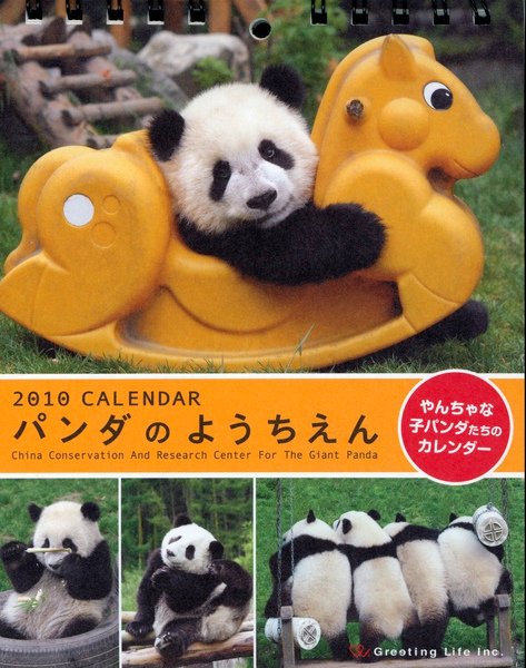 2010panda