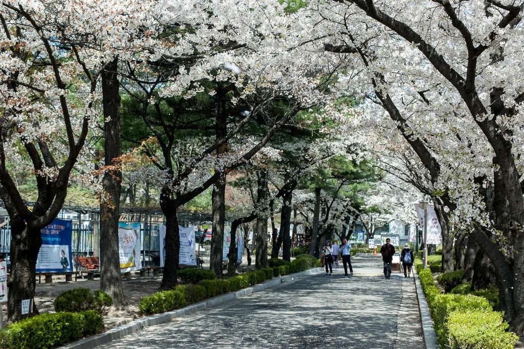 北村_019_by_Two_Story_Tour.jpg