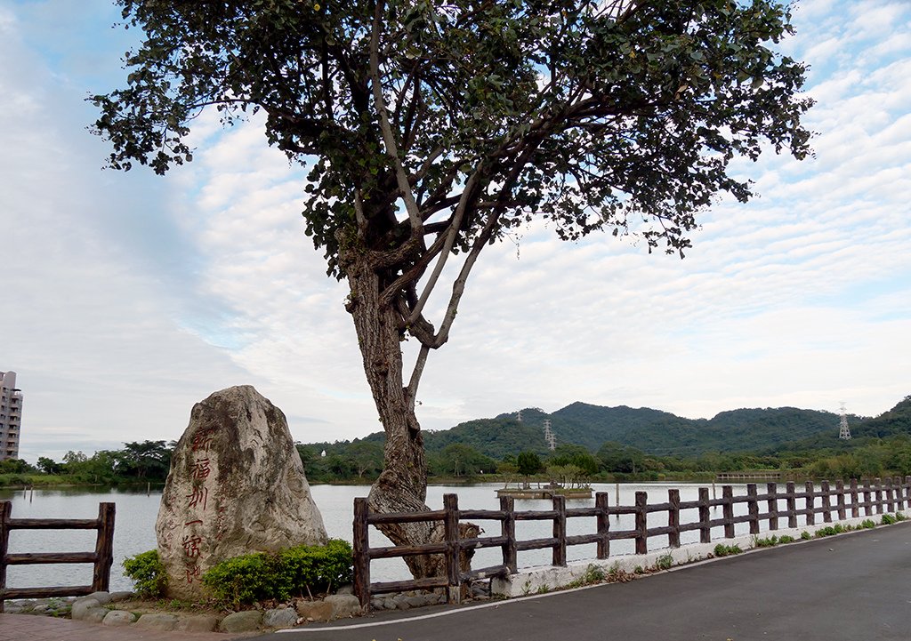 屢豐宮(水中土地公) / 大池擴建土地公不願搬家，土丘改建三