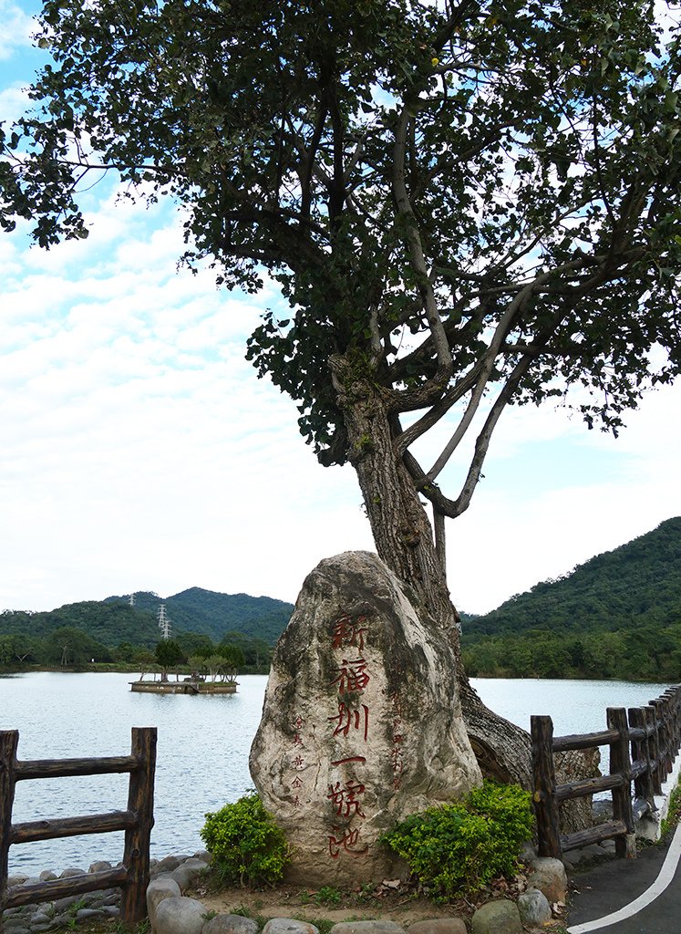 屢豐宮(水中土地公) / 大池擴建土地公不願搬家，土丘改建三