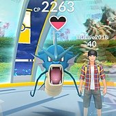 Screenshot_20190907-045500_Pokmon GO.jpg