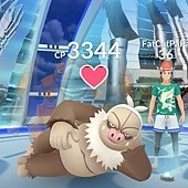 Screenshot_20190903-053021_Pokmon GO.jpg