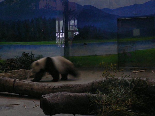 P1110033.JPG
