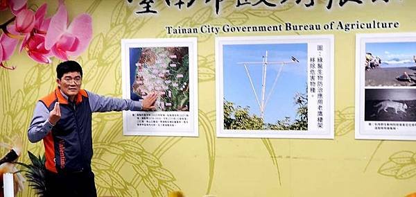 0104027綠鬣蜥危害防治.jpg