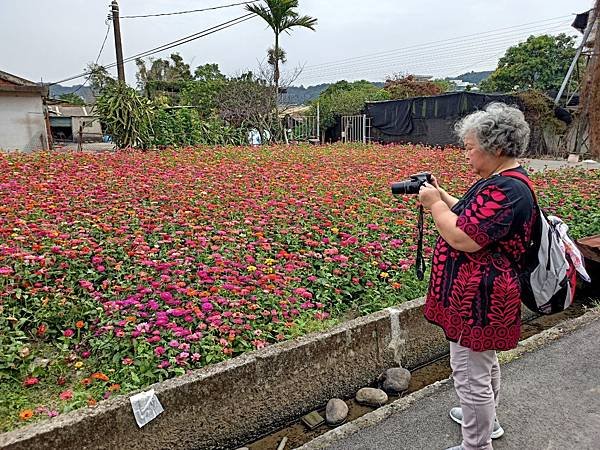 2020-11-20大溪月眉花彩節賞花聚餐_201120_7.jpg