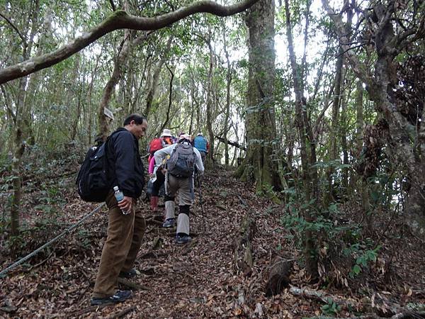 201403016保生..農場.塔曼山 427.jpg