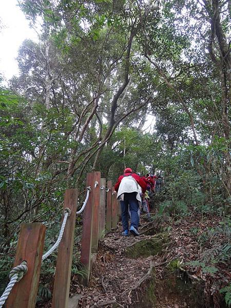 201403016保生..農場.塔曼山 465.jpg