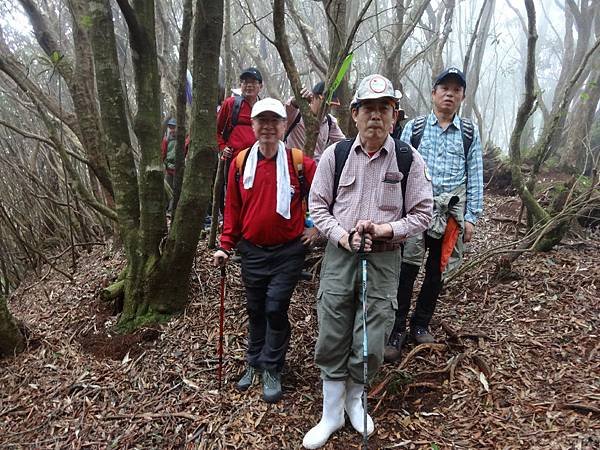 201403016保生..農場.塔曼山 480.jpg