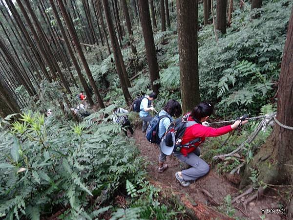 201403030光天高山 323.jpg