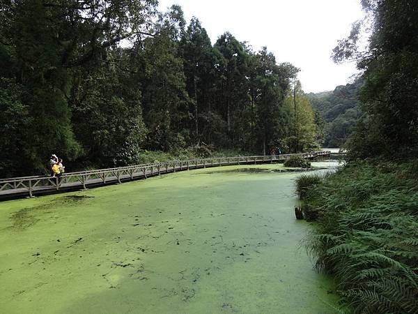 20141026福山植物園 259.jpg