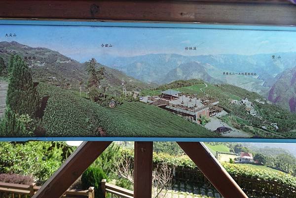 20141108茂林太平茶園[SW] 444.jpg