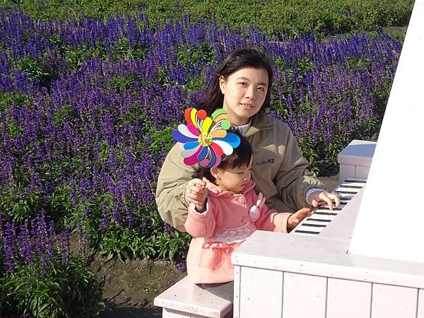 20150101中社觀光花市 161.jpg
