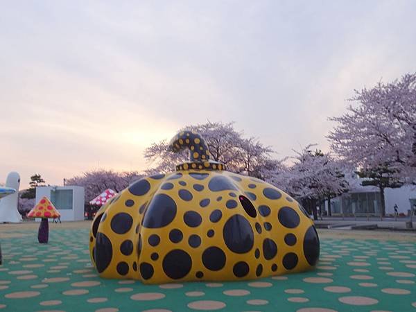 20150418日本東北賞櫻[小] 276.jpg