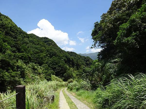 20150726魚路古道八煙聚落 602.jpg