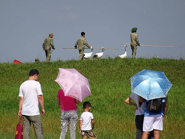 20140820大興安嶺[1] 223.jpg