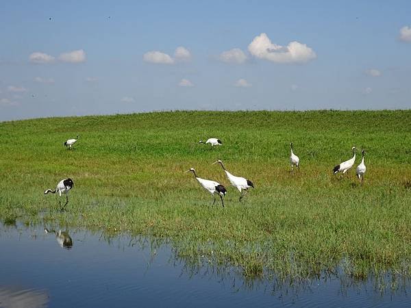 20140820大興安嶺[1] 345.jpg