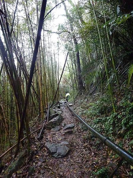 20160124 象鼻古道[sw] 223.jpg