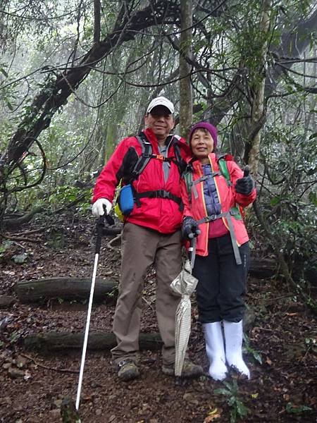 20160124 象鼻古道[sw] 314.jpg