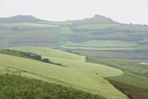 _MG_7052.JPG
