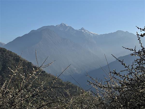 IMG_7819.JPG