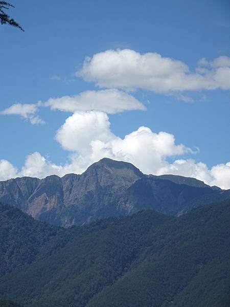 DSC09363.JPG