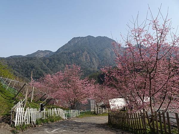 DSC09800.JPG