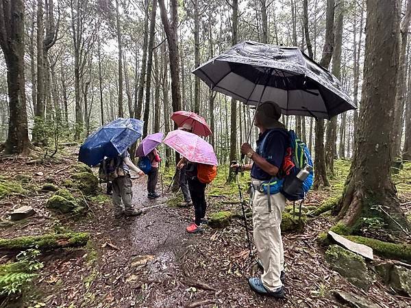 大雪山國家森林遊樂區。小雪山步道。大雪山賓館